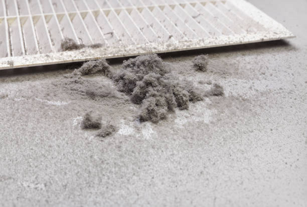 Best Affordable HVAC Duct Cleaning  in Statham, GA
