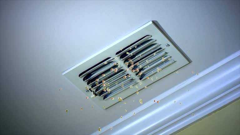 Best Affordable HVAC Duct Cleaning  in Statham, GA
